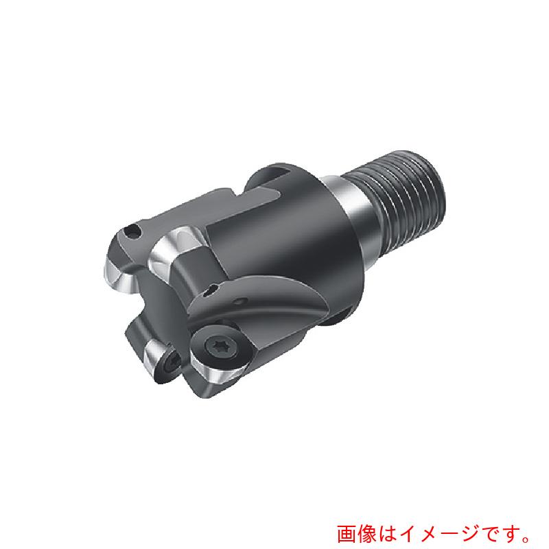 ワルタージャパン（WALTER） Ｗａｌｔｅｒ ボールノーズカッター 【品番：F2334R.UZ31.031.Z04.05】