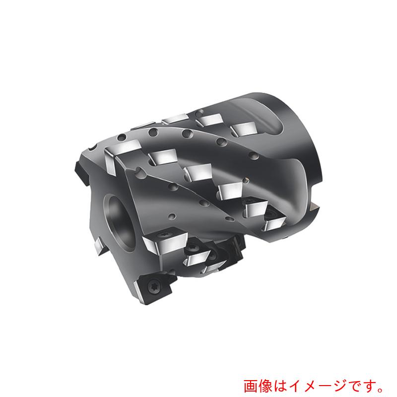 【別途送料あり】ワルタージャパン（WALTER）　Ｗａｌｔｅｒ　ポーキュパインカッター　【品番：F2338F.B.085.Z05.70】