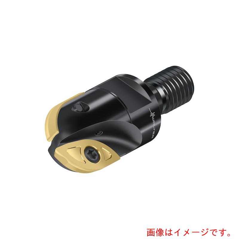 ワルタージャパン（WALTER）　Ｗａｌｔｅｒ　倣い加工用カッター　【品番：F2339.TC16.030.Z02.24】 33,655円