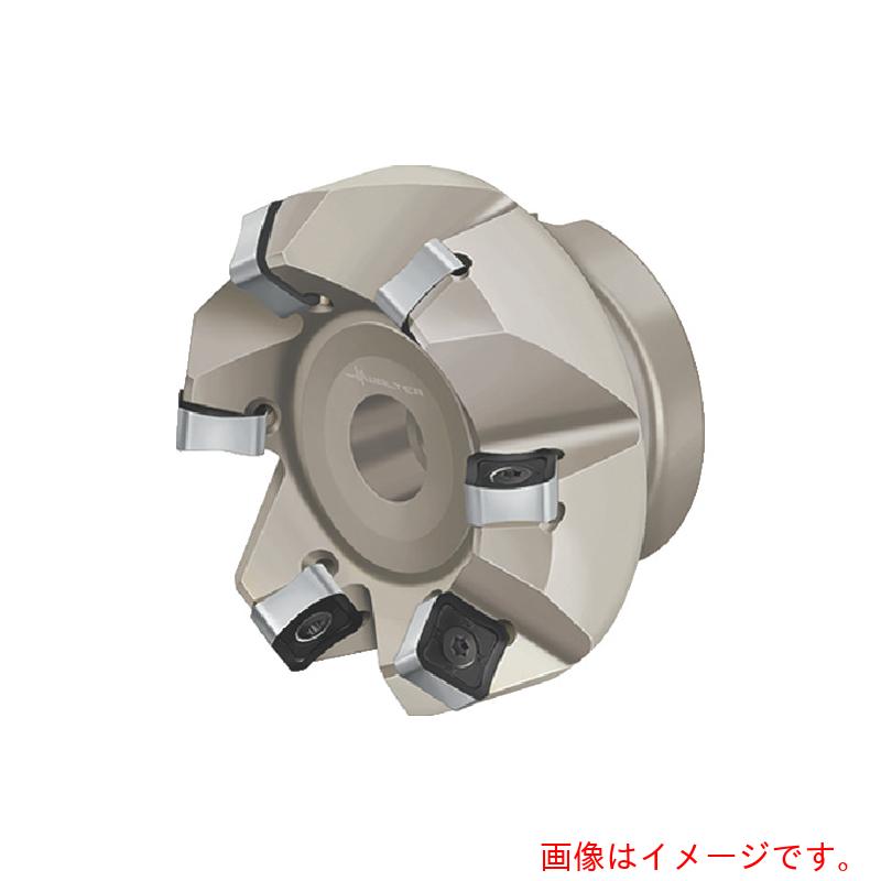 ワルタージャパン（WALTER） Ｗａｌｔｅｒ 人間の顔圧砕機 【品番：F4033.B27.080.Z06.09】