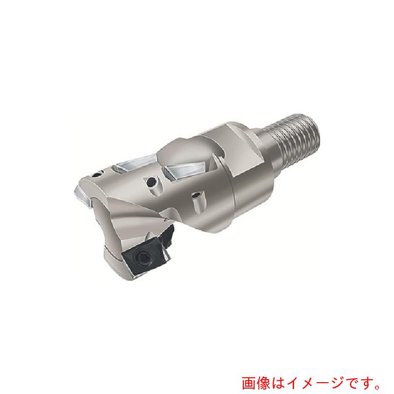 ワルタージャパン（WALTER） Ｗａｌｔｅｒ ポーキュパインカッター 【品番：F4038.W20.020.Z01.30】
