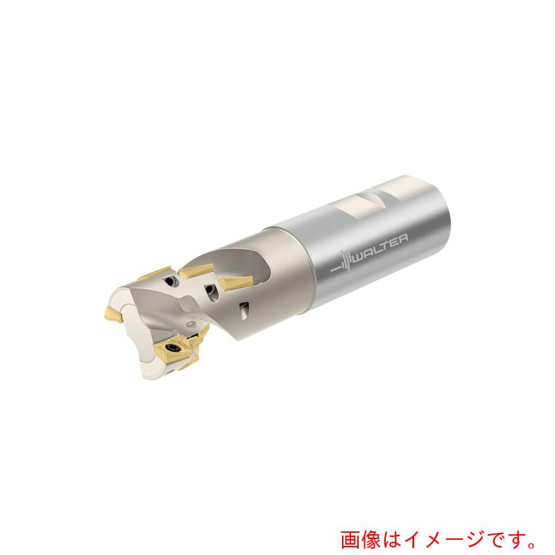 ワルタージャパン（WALTER）　Ｗａｌｔｅｒ　ポーキュパインカッター　【品番：F4038.W32.032.Z03.37】