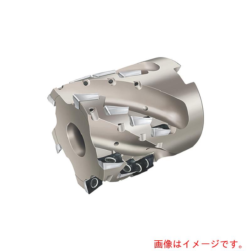 ワルタージャパン（WALTER）　Ｗａｌｔｅｒ　ポーキュパインカッター　【品番：F4138.N6.040.Z03.54】