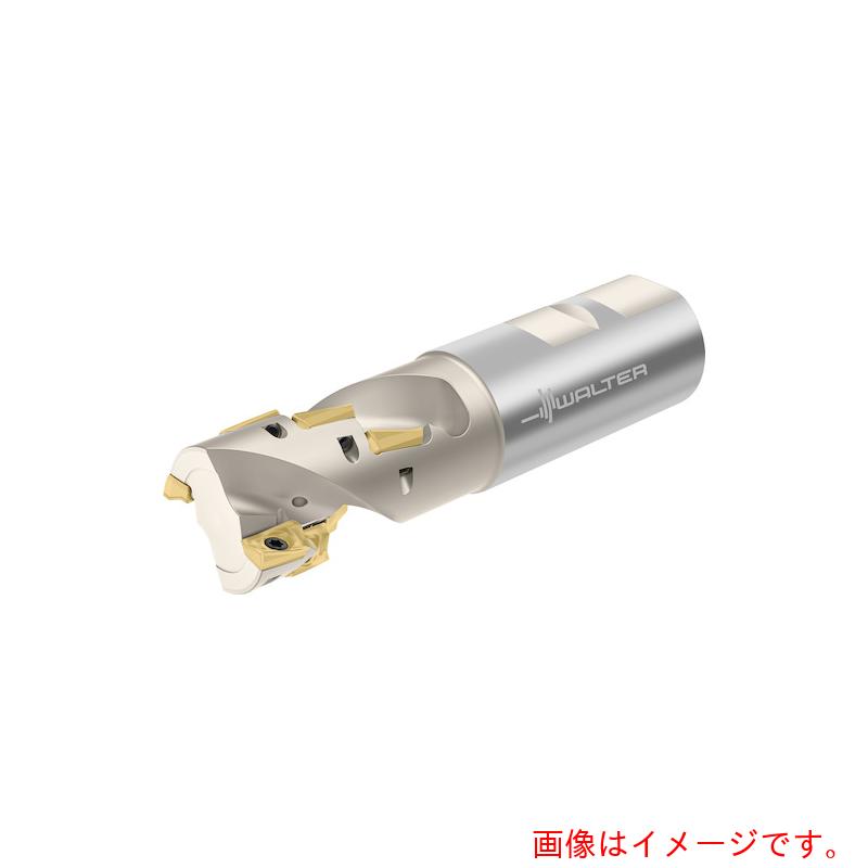 ワルタージャパン（WALTER）　Ｗａｌｔｅｒ　ポーキュパインカッター　【品番：F4138.UW31.031.Z02.43】