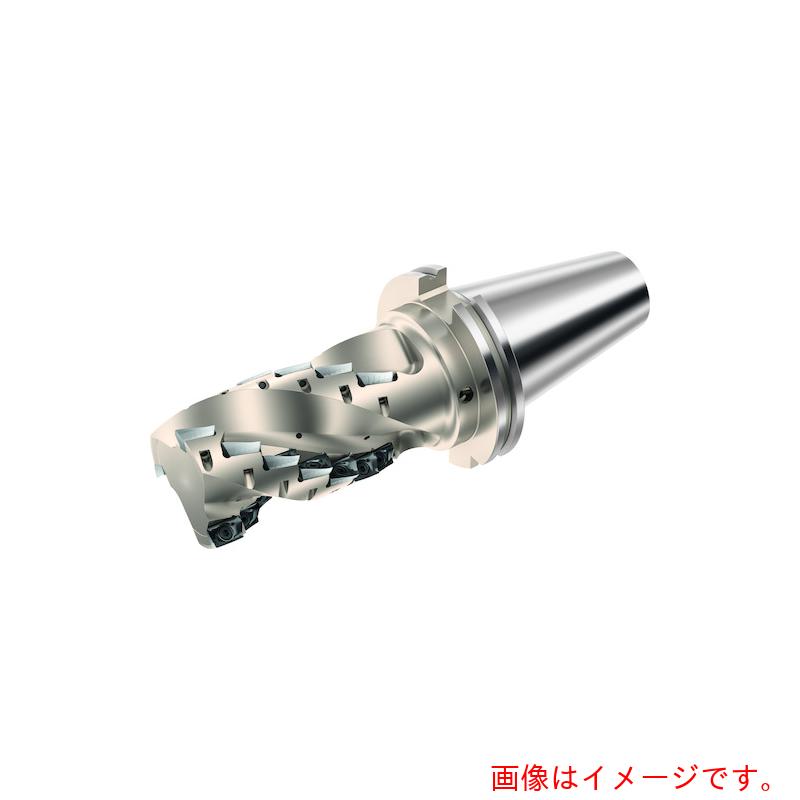 【別途送料あり】ワルタージャパン（WALTER）　Ｗａｌｔｅｒ　ポーキュパインカッター　【品番：F4238.US5.064.Z04.99】