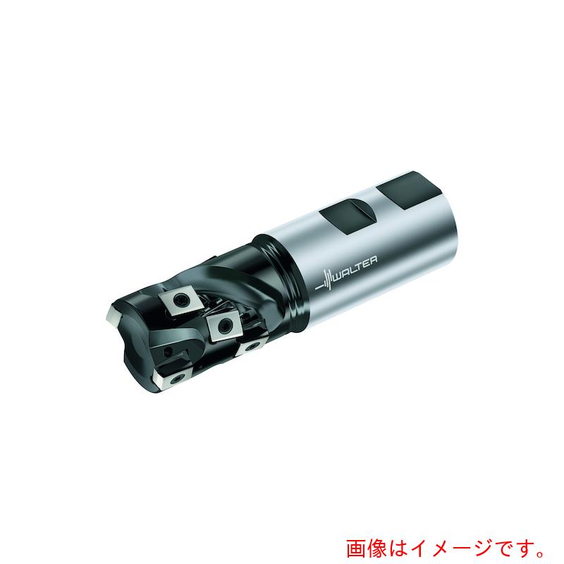 ワルタージャパン（WALTER） Ｗａｌｔｅｒ ポーキュパインカッター 【品番：F5038.W25.025.Z02.32】