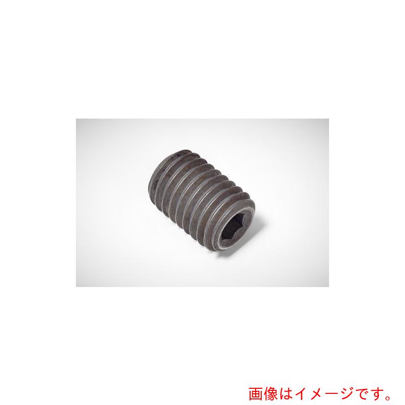 ワルタージャパン（WALTER）　Ｗａｌｔｅｒ　ヘッドなしスクリュー　【品番：FS1033】 8,042円