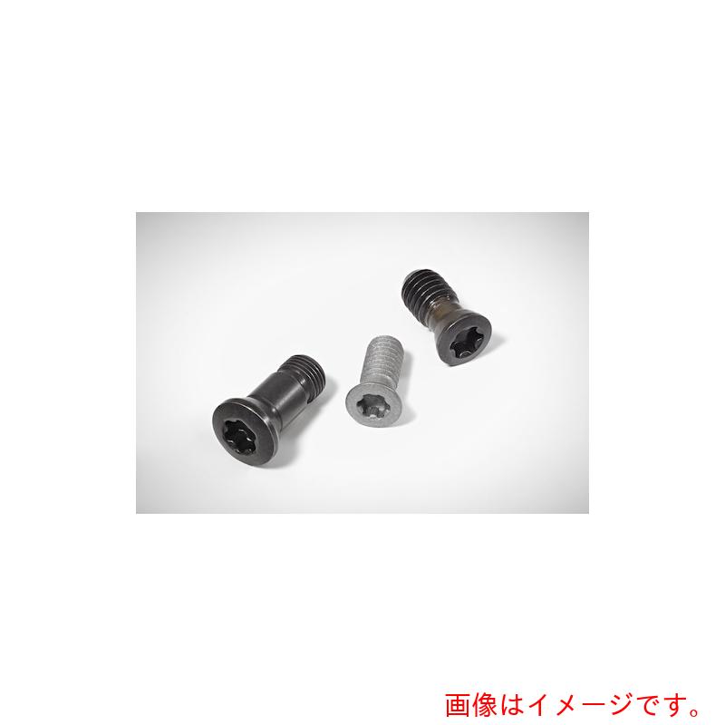 ワルタージャパン（WALTER）　Ｗａｌｔｅｒ　ヘッド付きスクリュー　【品番：FS417】