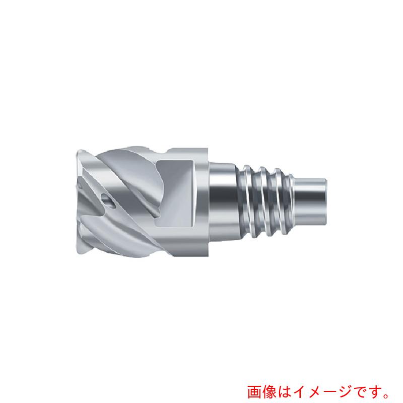 ワルタージャパン(WALTER) Prototyp Protomax Inox エンドミル 【品番:H2EC38217-E10-10-1】