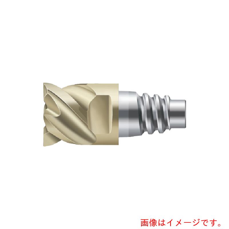 ワルタージャパン（WALTER）　Ｐｒｏｔｏｔｙｐ　Ｐｒｏｔｏｍａｘ　エンドミル　【品番：H4E34217-E12-12】 エンドミル-DIY・工具
