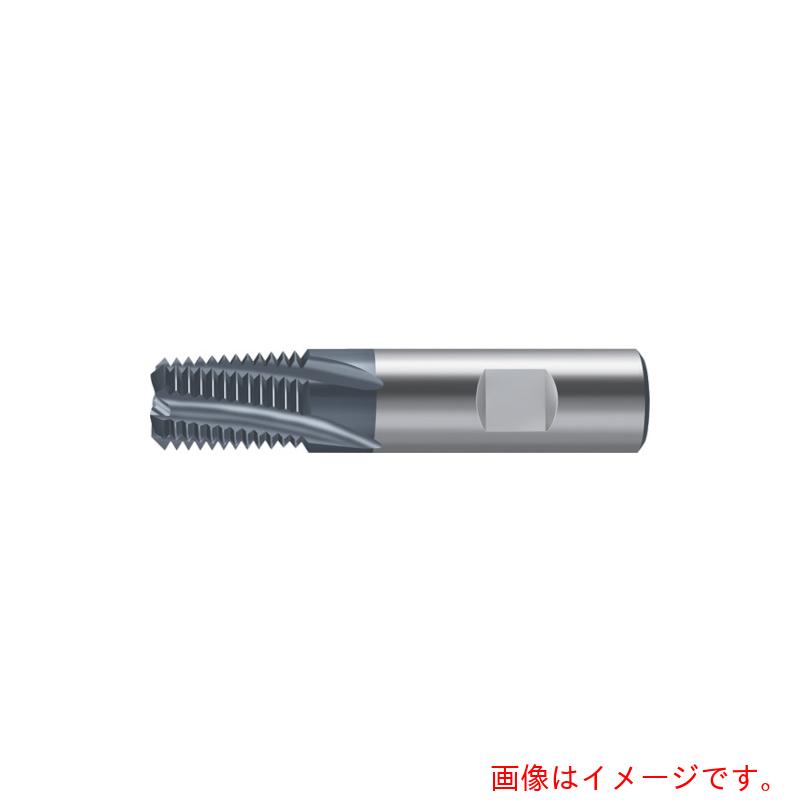 ワルタージャパン（WALTER）　Ｐｒｏｔｏｔｙｐ　ねじ切りカッター　【品番：H5551106-NPT1/16】｜住設プロ　店