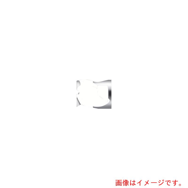 ワルタージャパン(WALTER) Prototyp エンドミル 【品番:H6E2211-E20-20】