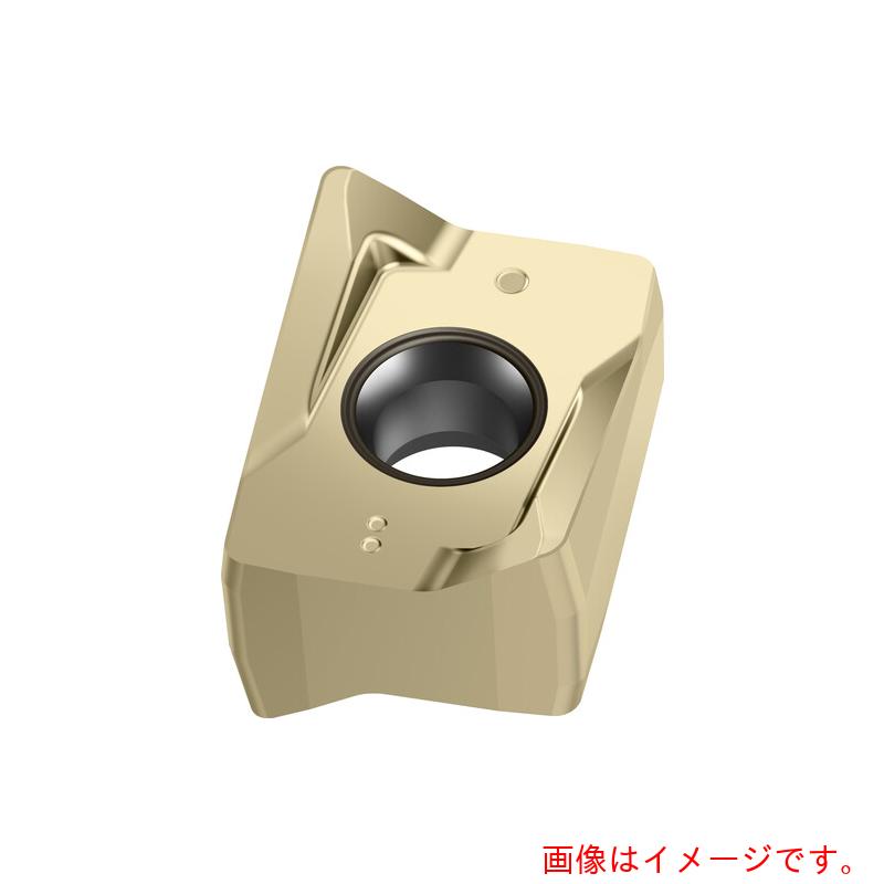 ワルタージャパン（WALTER）　Ｗａｌｔｅｒ　ミーリング加工用　正方形ポジチップ　ＷＳＭ３５Ｇ　【10個】　【品番：LNGX130712R-L55】 22,259円