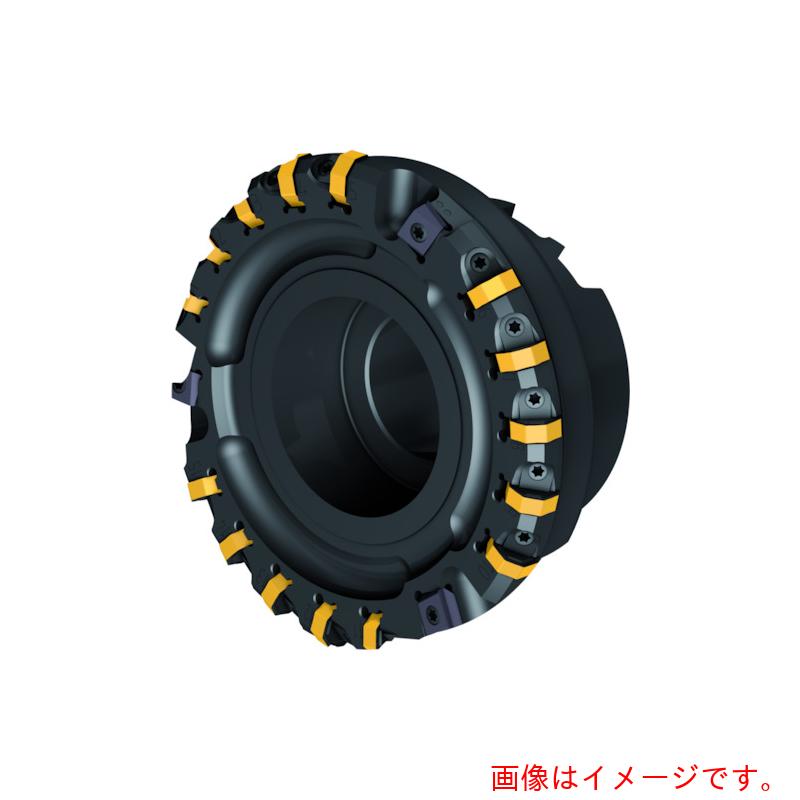 【別途送料あり】ワルタージャパン（WALTER）　Ｗａｌｔｅｒ　仕上げ用オクタゴンフェースミルカッター　【品番：M2025-160-B40-21-03】