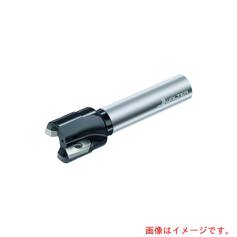 ワルタージャパン（WALTER）　Ｗａｌｔｅｒ　ランピングカッター　【品番：M2131-025-A25-02-15-L】