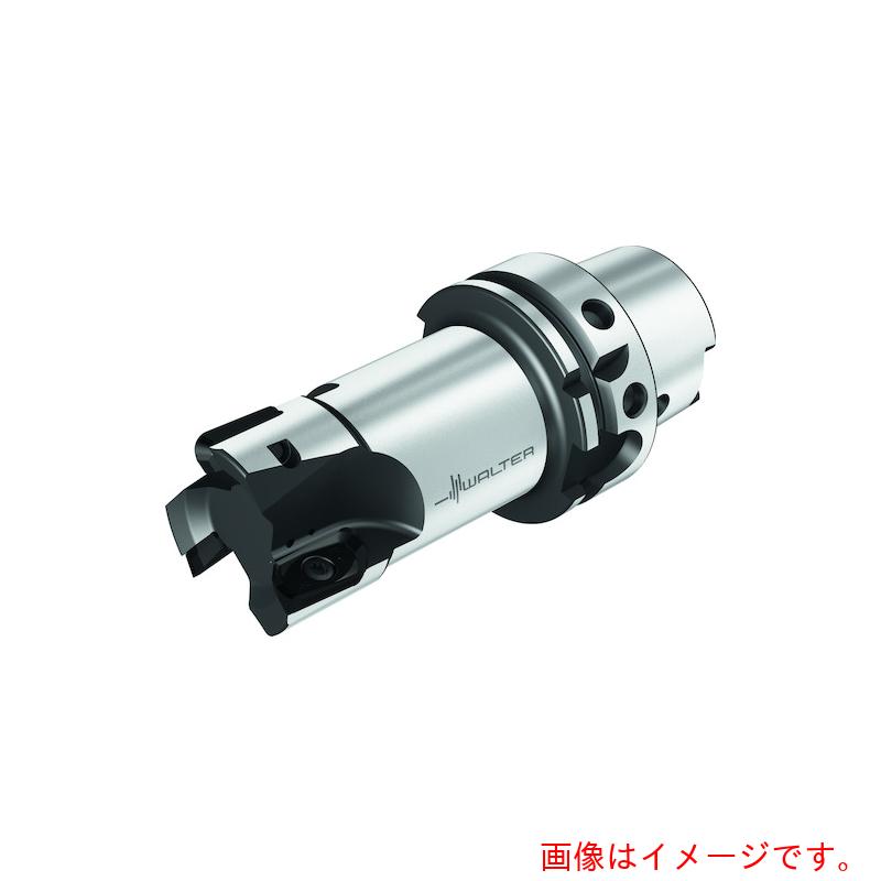 ワルタージャパン（WALTER）　Ｗａｌｔｅｒ　ランピングカッター　【品番：M2131-025-H63-02-15】