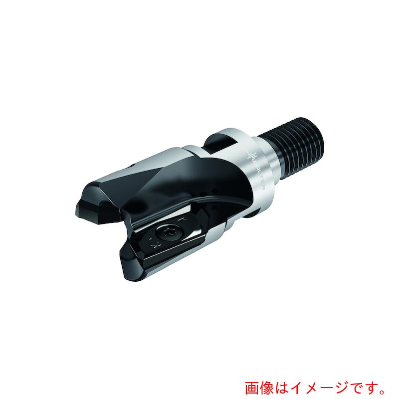ワルタージャパン（WALTER） Ｗａｌｔｅｒ ランピングカッター 【品番：M2131-040-T36-02-20】 その他-DIY・工具-花・ガーデン・DIY