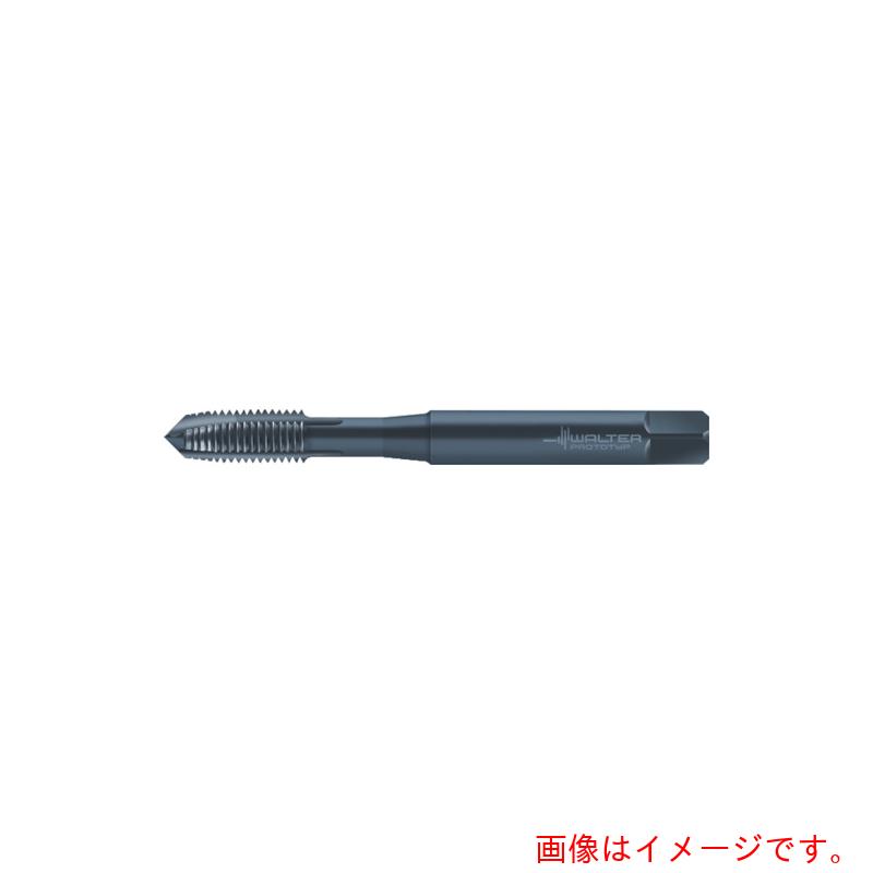 ワルタージャパン（WALTER） Ｐｒｏｔｏｔｙｐ 器械水道栓 【品番：M233009-EGUNF1/4】