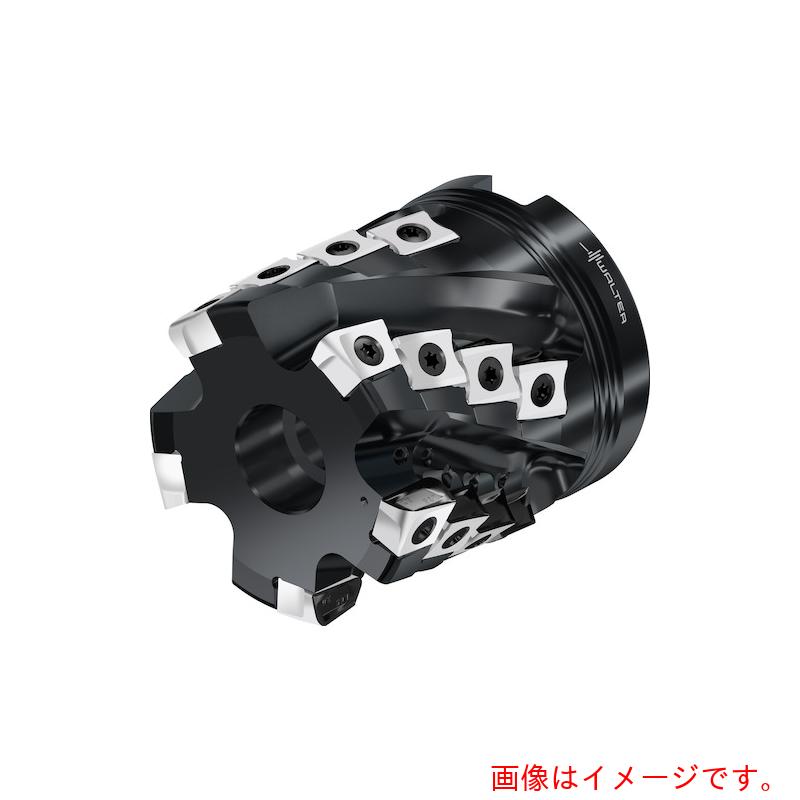ワルタージャパン（WALTER） Ｗａｌｔｅｒ ポーキュパインカッター 【品番：M3255.064-B26-06-46】
