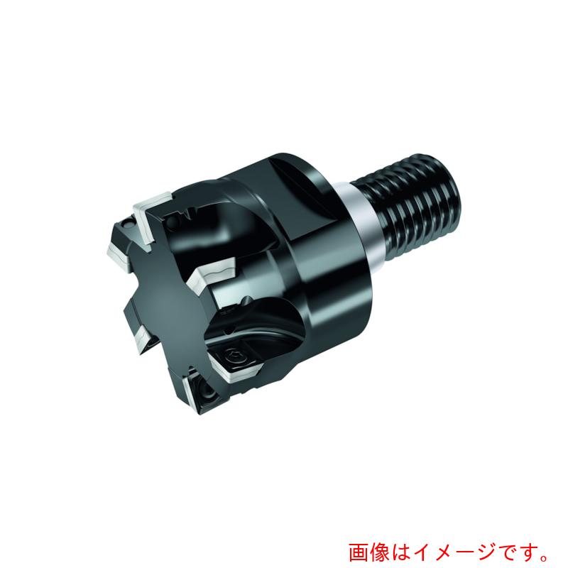 ワルタージャパン（WALTER） Ｗａｌｔｅｒ 肩削り切り手 【品番：M4132-025-T22-04-06】