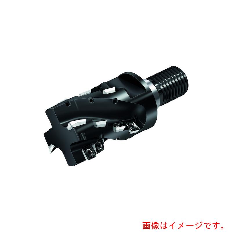 ワルタージャパン（WALTER） Ｗａｌｔｅｒ ポーキュパインカッター 【品番：M4256-025-T22-02-27】