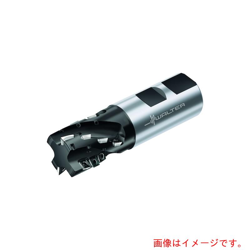 ワルタージャパン（WALTER）　Ｗａｌｔｅｒ　ポーキュパインカッター　【品番：M4256-032-W32-02-37】