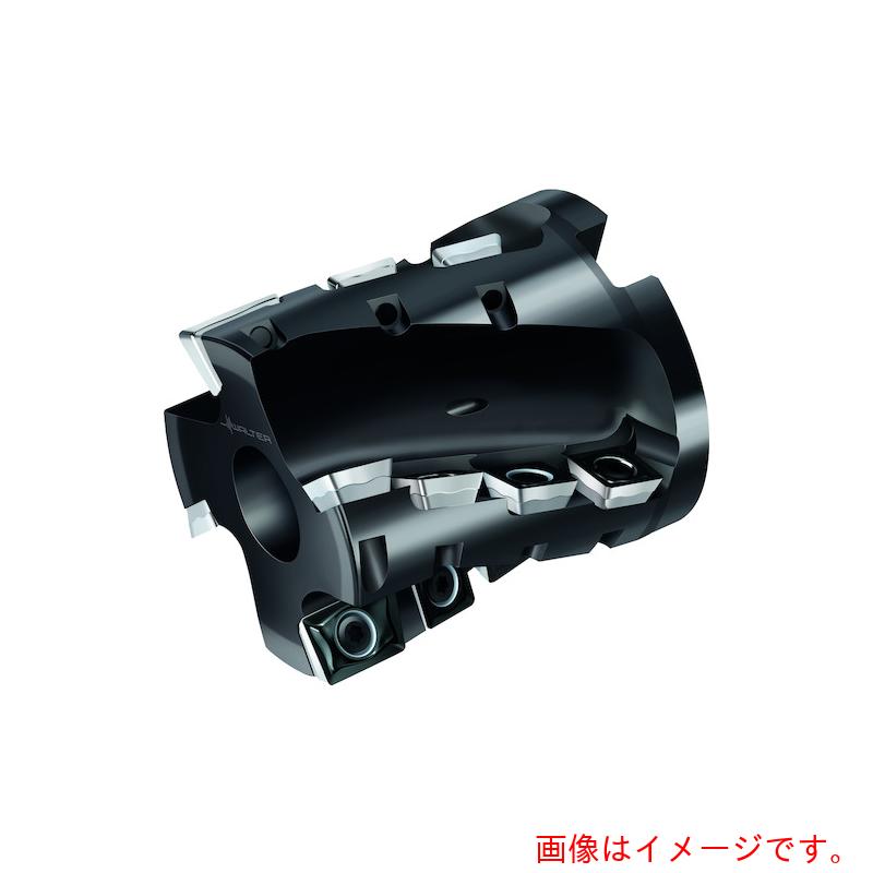 【別途送料あり】ワルタージャパン（WALTER）　Ｗａｌｔｅｒ　ポーキュパインカッター　【品番：M4258.102-B38-04-77】