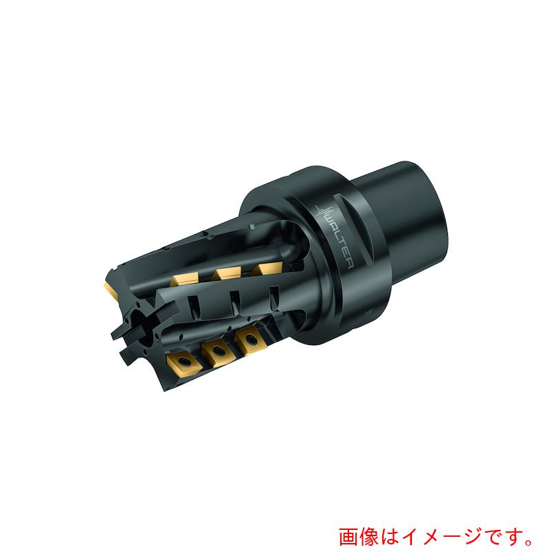 ワルタージャパン（WALTER） Ｗａｌｔｅｒ ポーキュパインカッターボディ 【品番：M4258-050-C6-02-50-B】