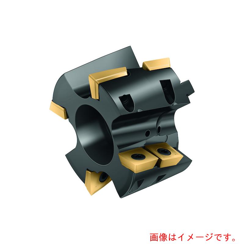 ワルタージャパン（WALTER） Ｗａｌｔｅｒ ポーキュパインカッターフロントピース 【品番：M4258-063-P30-02-36-F】