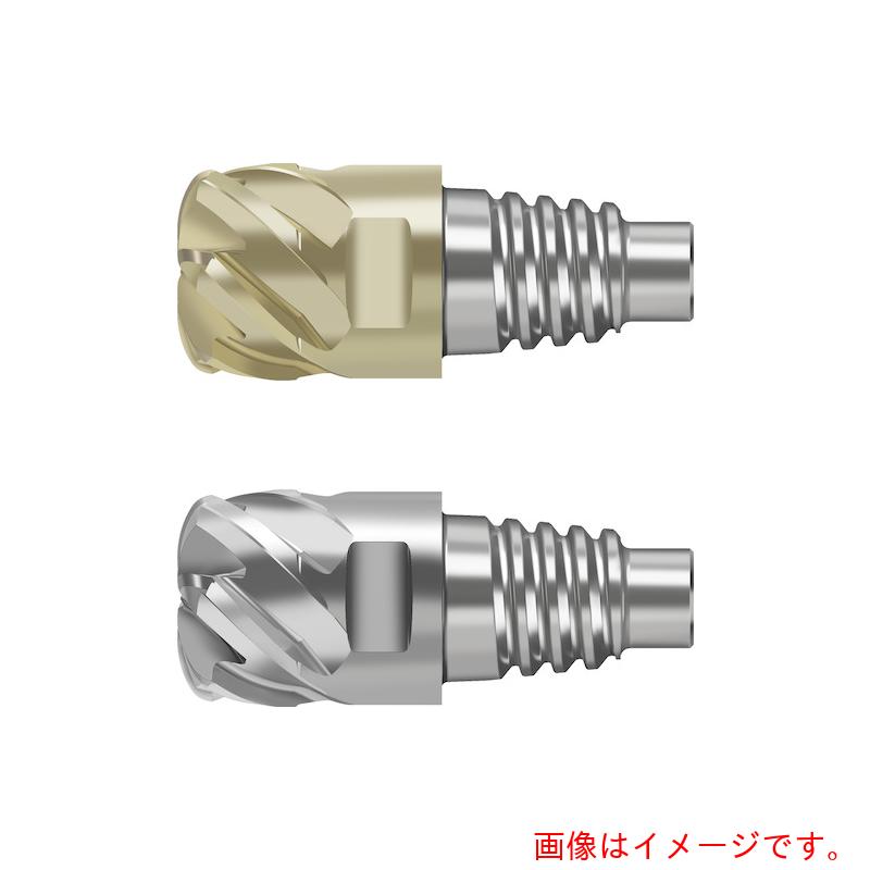 ワルタージャパン(WALTER) Prototyp 超硬高送りエンドミル MD025 【品番:MD025.19.1E6P203-WJ30RD】