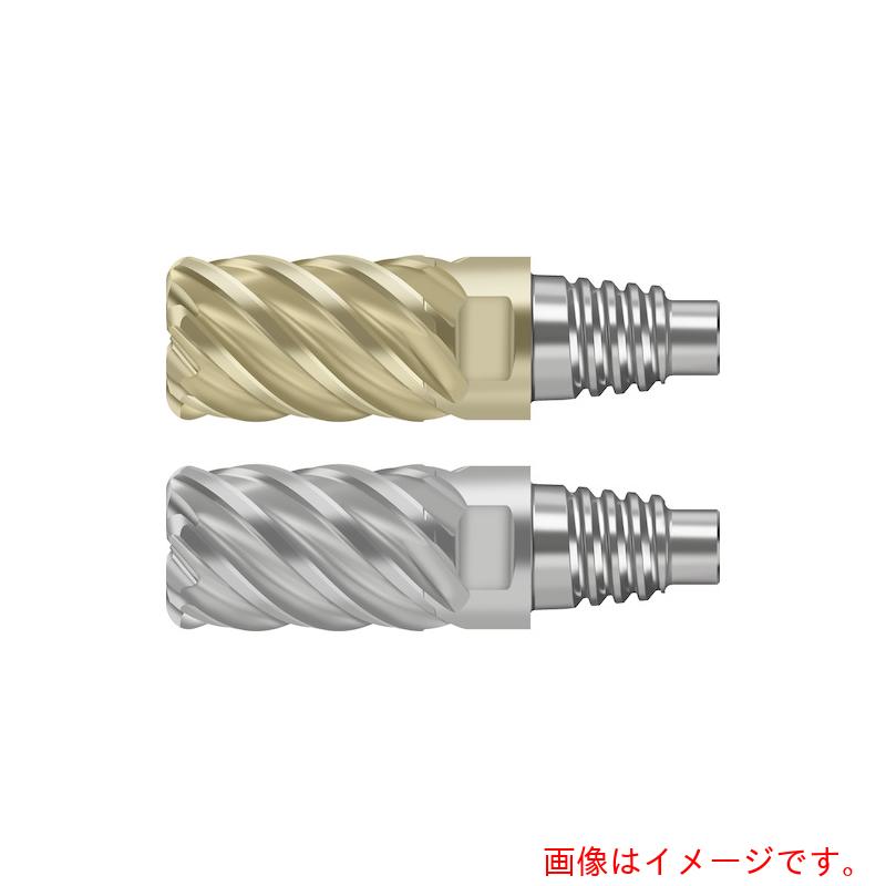 ワルタージャパン（WALTER）　Ｐｒｏｔｏｔｙｐ　超硬エンドミル　【品番：MD128-10.0E6X050-WJ30RD】
