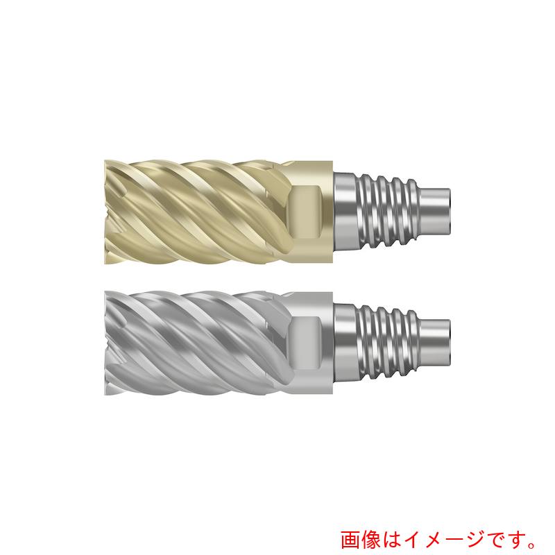 ワルタージャパン（WALTER）　Ｐｒｏｔｏｔｙｐ　超硬エンドミル　【品番：MD128-10.0E6X-WJ30RD】
