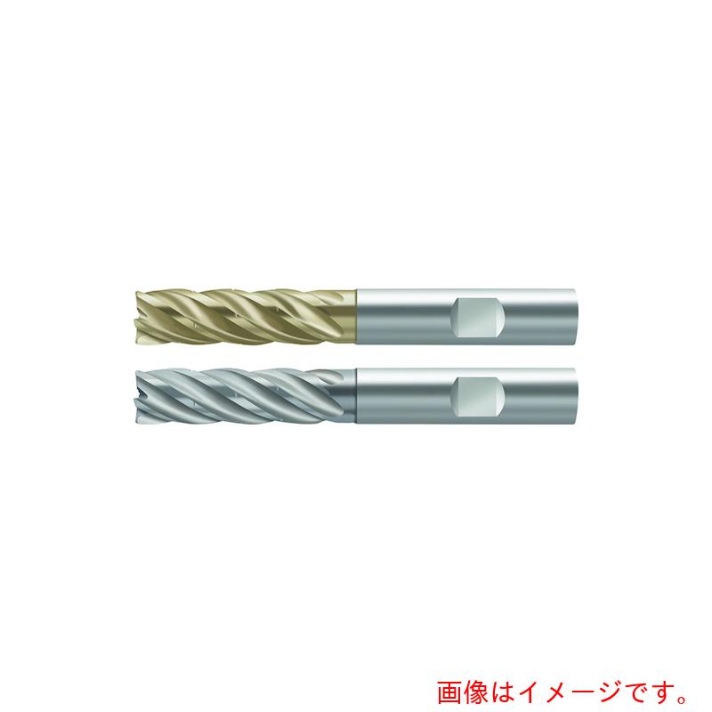 ワルタージャパン（WALTER）　Ｐｒｏｔｏｔｙｐ　超硬エンドミル　ＭＤ１３３　【品番：MD133.15.9W6L076D-WJ30RA】