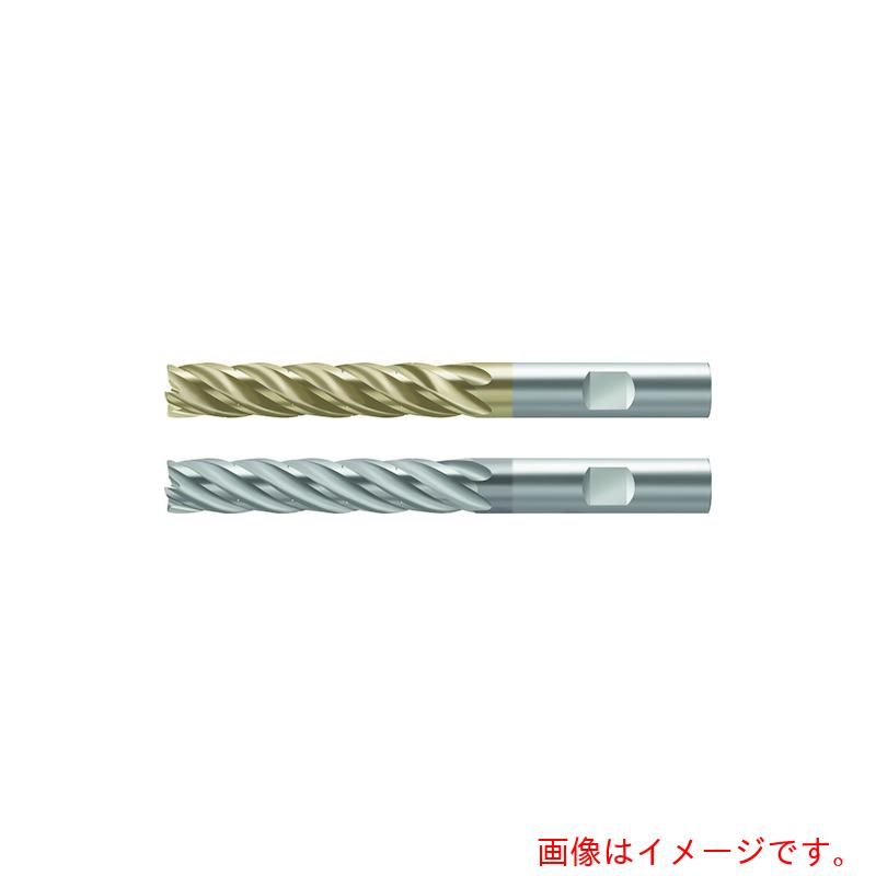 ワルタージャパン（WALTER） Ｐｒｏｔｏｔｙｐ 超硬エンドミル ＭＤ１３３ 【品番：MD133.15.9W6X076L-WJ30RD】 その他-DIY・工具-花・ガーデン・DIY