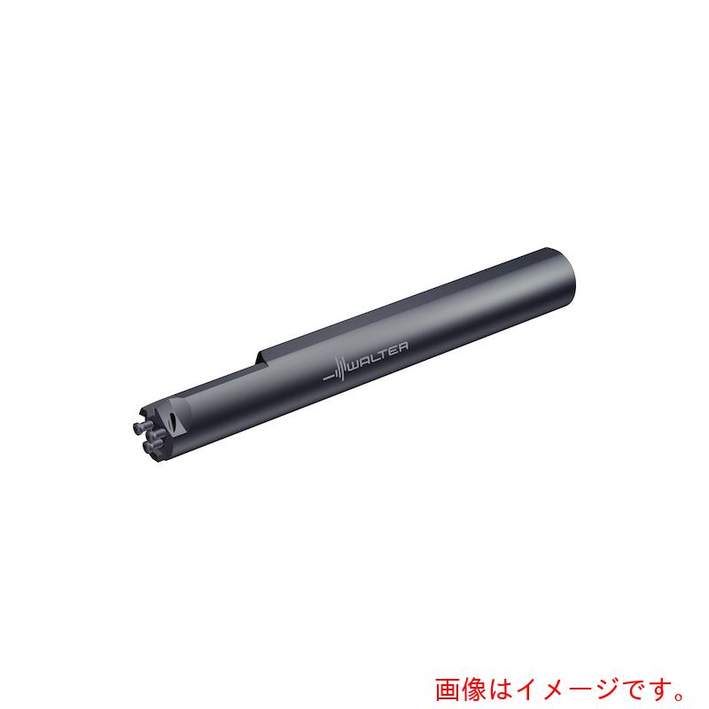 ワルタージャパン（WALTER） Ｗａｌｔｅｒ Ｂｏｒｉｎｇ ｂａｒ ｍｏｄｕｌａｒ ＭＳＳ．．．Ｉ．．．２．５ 【品番：MSS-I40R90-2,5D-N】