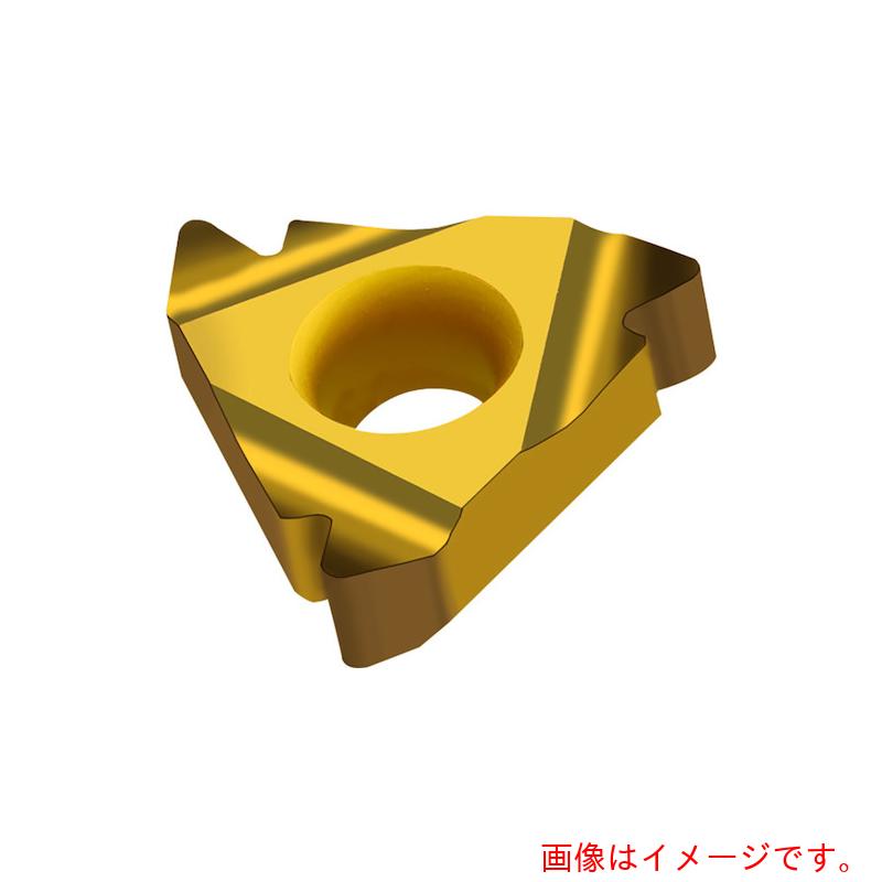 ワルタージャパン（WALTER）　Ｗａｌｔｅｒ　おねじ旋削チップ　完全プロファイルＩＳＯ　ミリ仕様　６０°　ＮＴＳ　ＷＸＰ２０　【10個】　【品番：NTS-ER-22 5.00ISO】