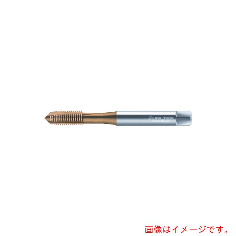 ワルタージャパン（WALTER）　Ｐｒｏｔｏｔｙｐ　マシンタップ　【品番：P20210-M2】