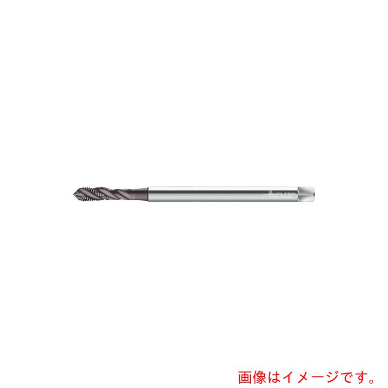 ワルタージャパン（WALTER）　Ｐｒｏｔｏｔｙｐ　マシンタップ　【品番：P2051832-M10】