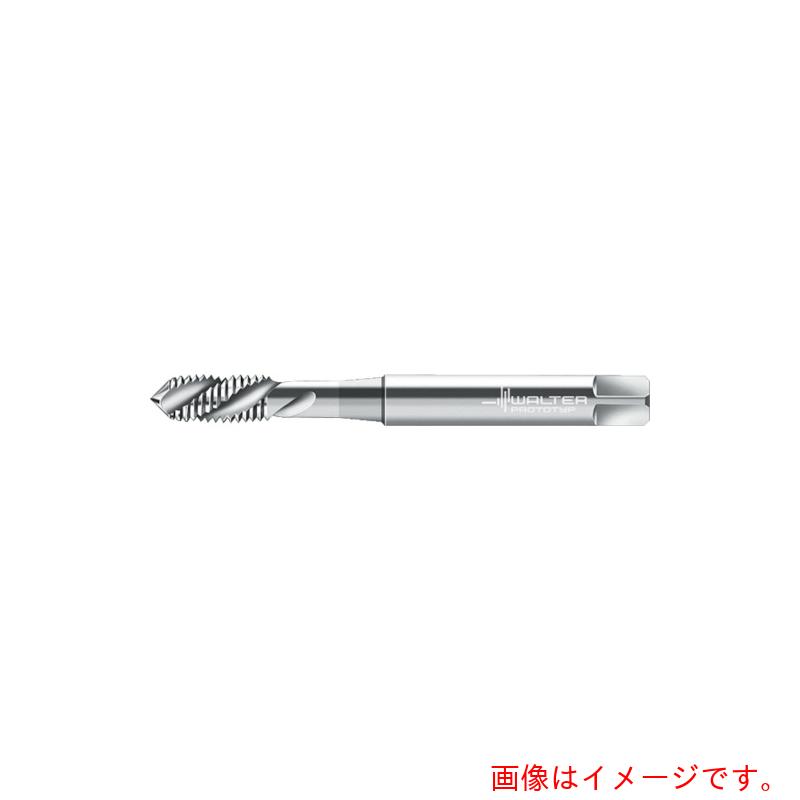 ワルタージャパン（WALTER） Ｐｒｏｔｏｔｙｐ 機関水道栓 【品番：P205198-M8】