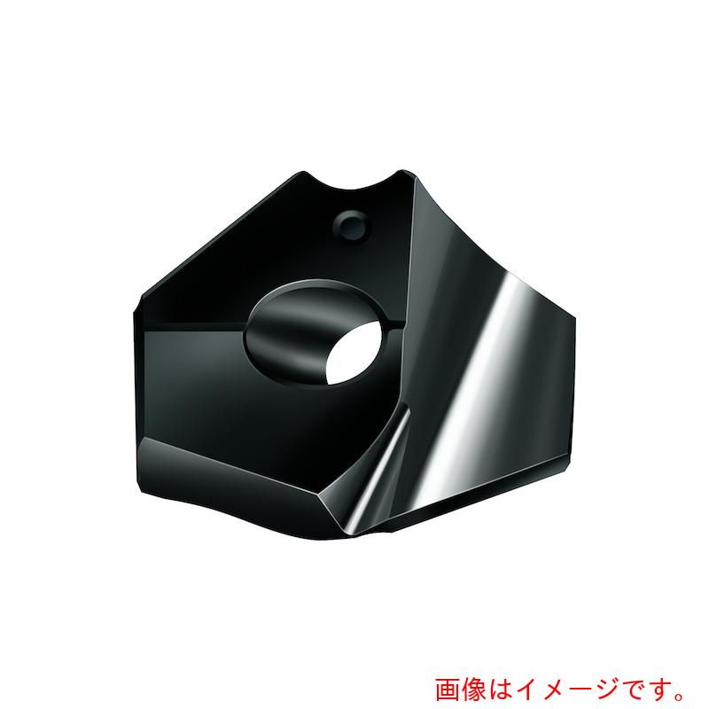 ワルタージャパン（WALTER）　Ｗａｌｔｅｒ　ポイントドリルチップ　ＷＮＮ２５　【品番：P6004-D17,00R】