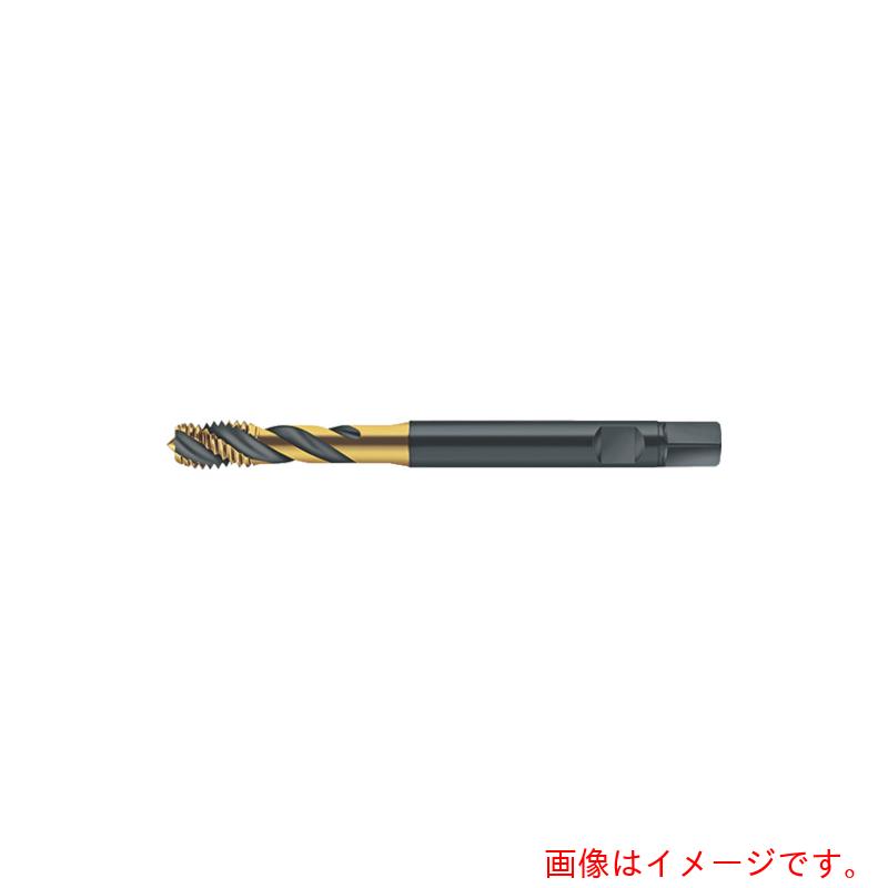 ワルタージャパン（WALTER） Ｐｒｏｔｏｔｙｐ 器械水道栓 【品番：S2051302-M6】