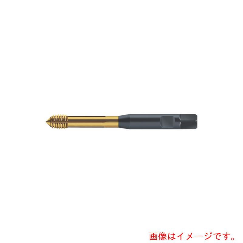 ワルタージャパン（WALTER）　Ｐｒｏｔｏｔｙｐ　転造タップ　【品番：S2061306-M5】｜住設プロ　店