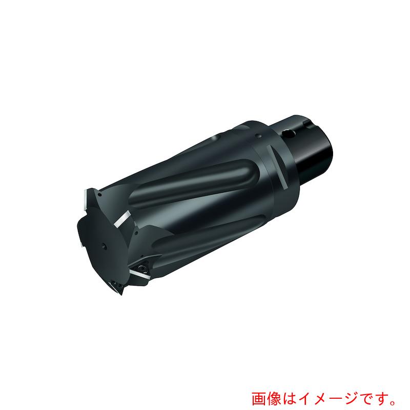 ワルタージャパン（WALTER）　Ｗａｌｔｅｒ　チップ式ねじ切りカッター　【品番：T2713-60-C5-4-14】