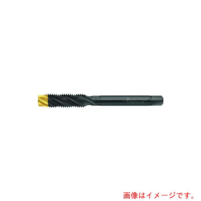 ワルタージャパン（WALTER） Ｐｒｏｔｏｔｙｐ ＨＳＳ－Ｅ （－ＰＭ） 機関水道栓 【品番：TC120-M16-L1-WW60AG】