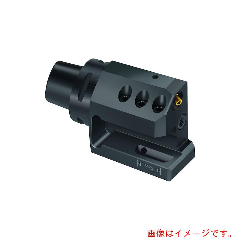 ワルタージャパン（WALTER）　Ｗａｌｔｅｒ　Ｗａｌｔｅｒ　Ｃａｐｔｏ　ＴＭ　　アキシャルアダプター　Ａ２１２０－Ｃ．．．－Ｐ　【品番：A2120-C6-25L-122-P】