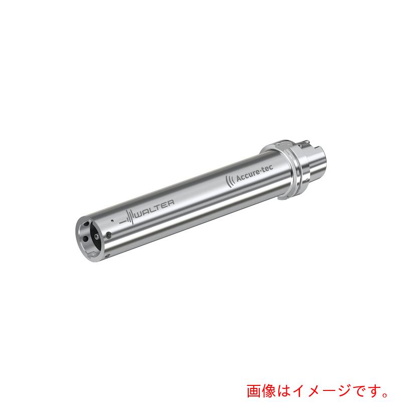 【別途送料あり】ワルタージャパン（WALTER）　Ｗａｌｔｅｒ　ＨＳＫ－Ｔ　アダプター　ビビり抑制　Ａ３００１－ＨＳＫ－Ｔ　【品番：A3001-H100T-QL60-541】