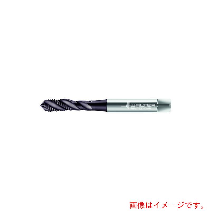 ワルタージャパン（WALTER） Ｐｒｏｔｏｔｙｐ ＨＳＳ－Ｅ 機関水道栓 【品番：AEP2251302-UNC5】