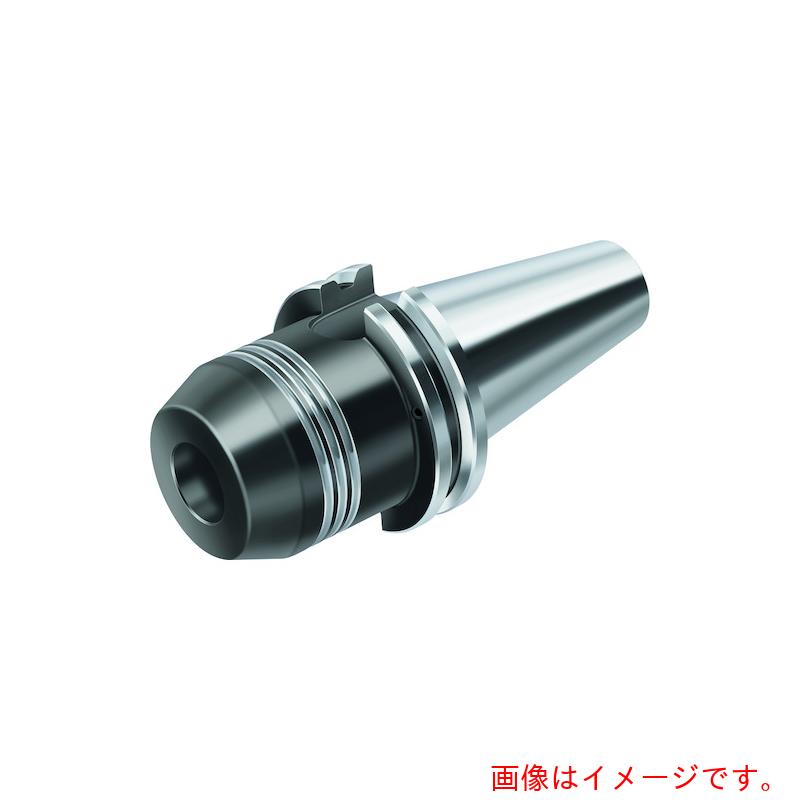 ワルタージャパン（WALTER） Ｗａｌｔｅｒ ハイドロファスナー ＡＳＭＥ Ｂ５．５０ ＡＫ１８２．ＣＡＴ 【品番：AK182.CAT50.081.32】