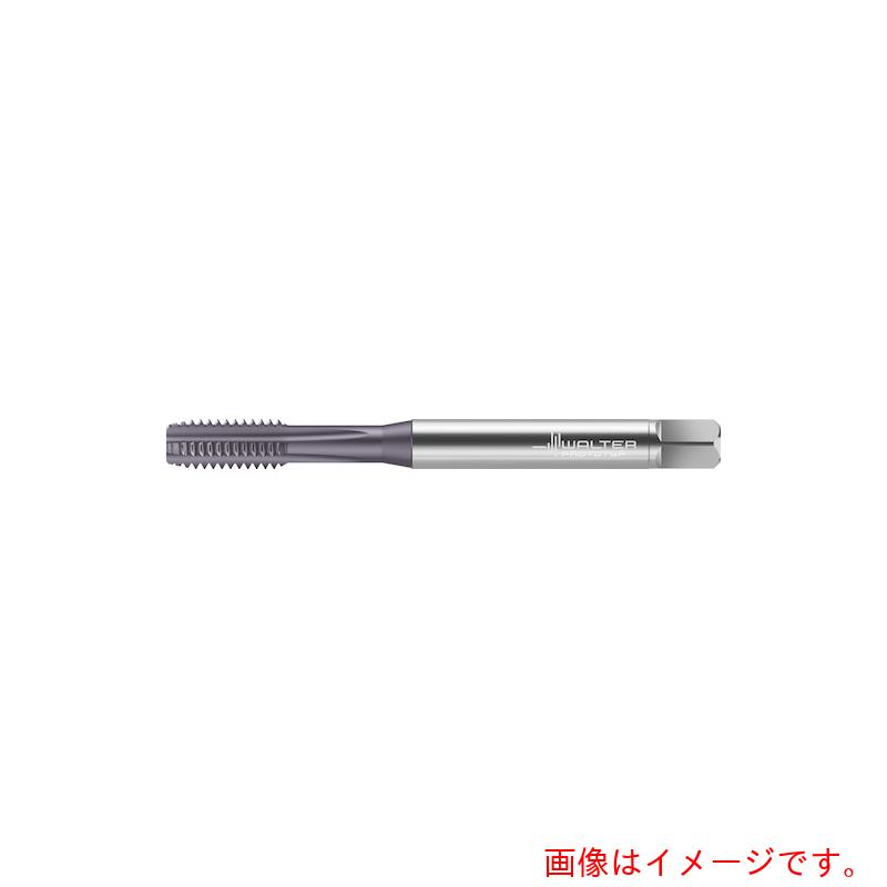 ワルタージャパン（WALTER） Ｐｒｏｔｏｔｙｐ ＨＳＳ－Ｅ 機械飲み口 【品番：AK2231407-UNC2】 花・ガーデン・DIY-その他