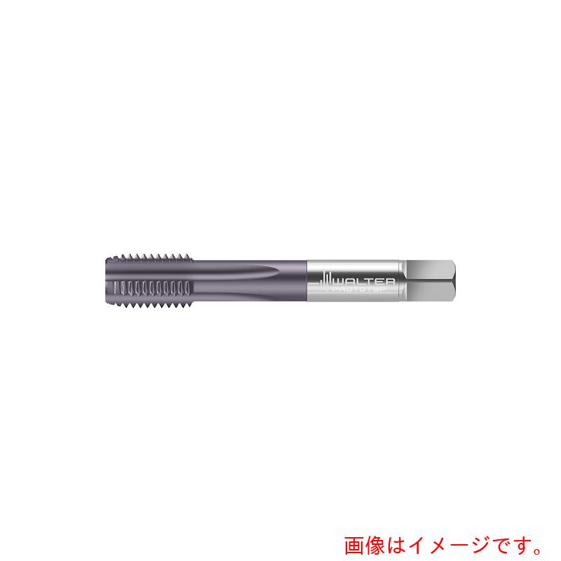 ワルタージャパン（WALTER） Ｐｒｏｔｏｔｙｐ ＨＳＳ－Ｅ 機関水道栓 【品番：AK2236407-UNC3/4】